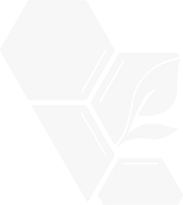 Isotipo de fondo, EcoPolar